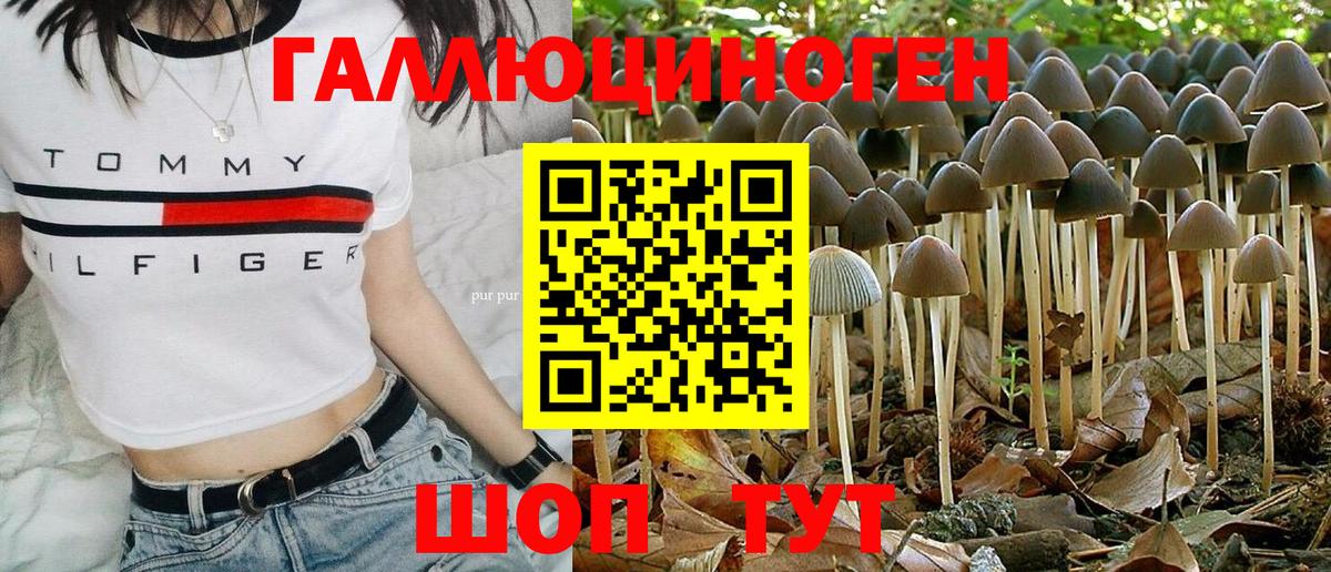 Галлюциногенные грибы Cubensis  Вход с VPN  Нальчик 